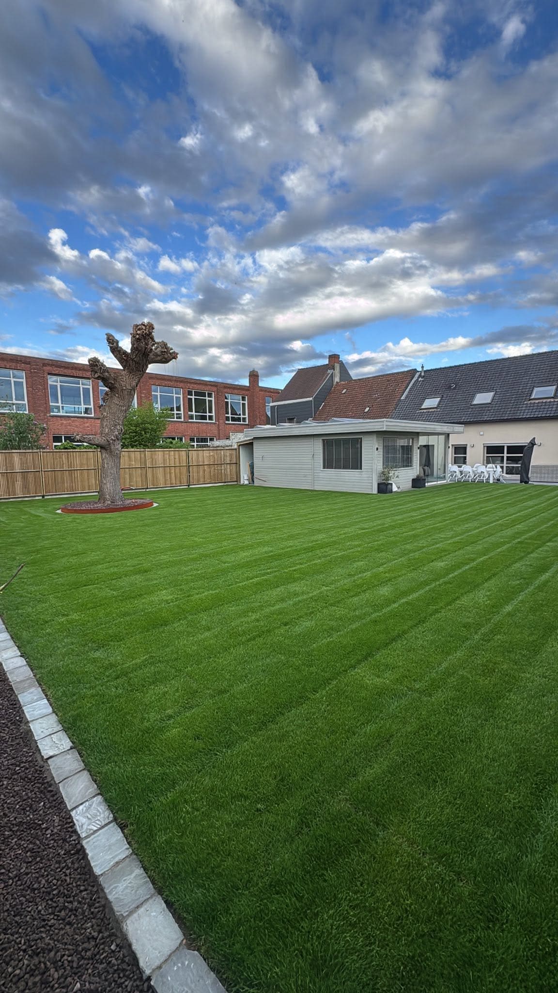 Ruim gemaaid gazon met tuinhuis en knotwilg