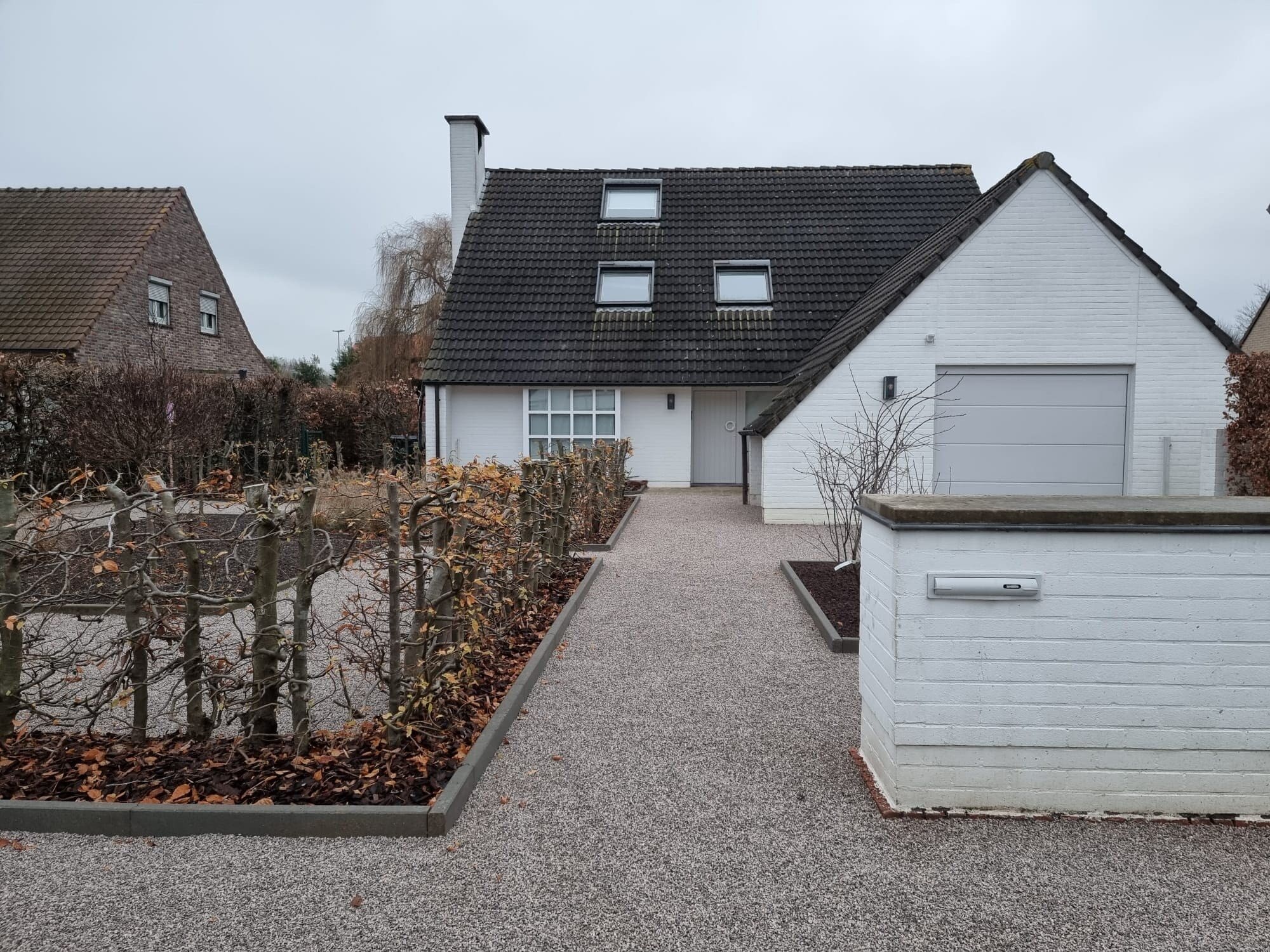 Gesnoeide buxusbollen in een onderhouden tuin